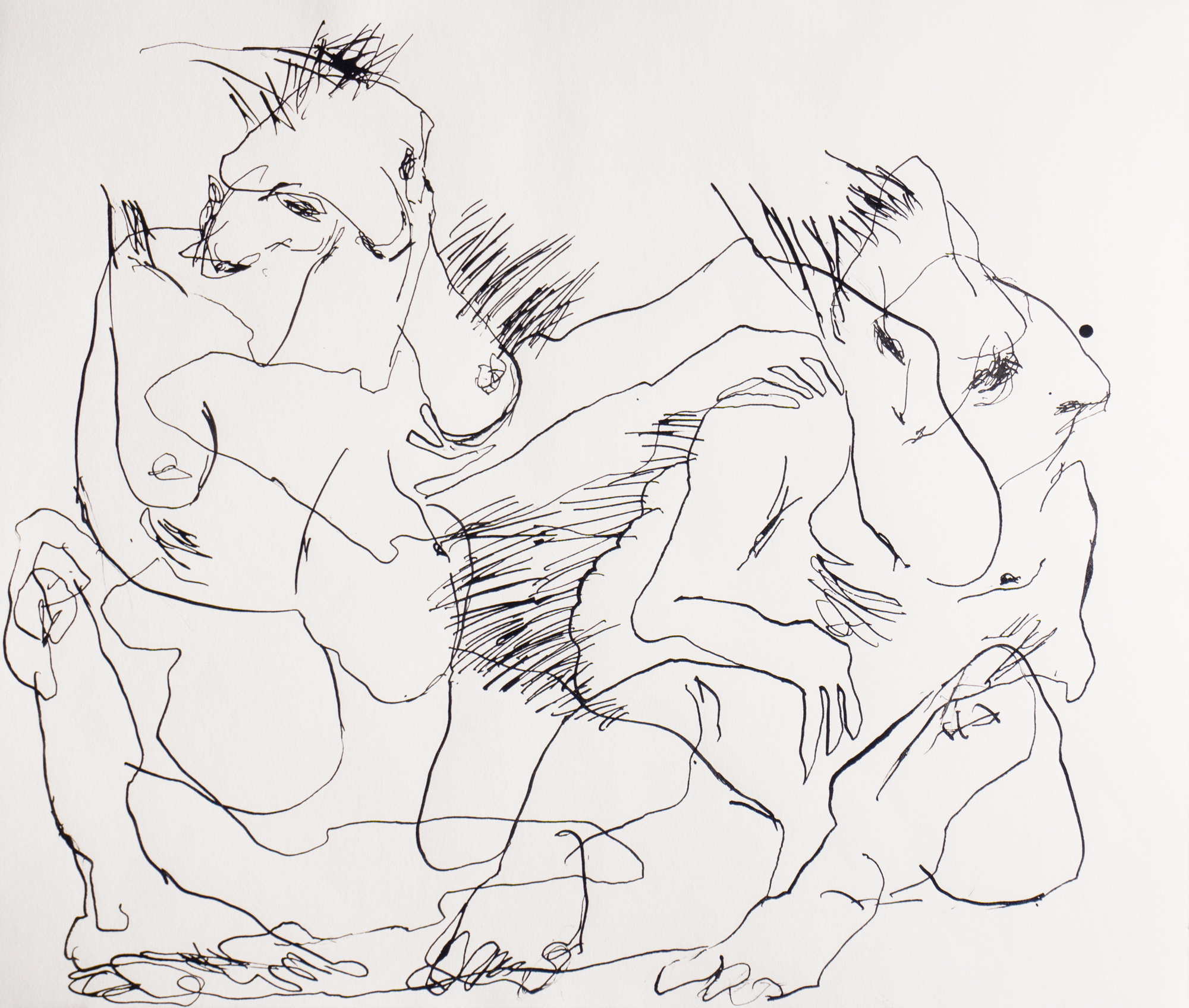 https://marinarocadie.com/wp-content/uploads/2016/05/porcupine-couples-III.jpg