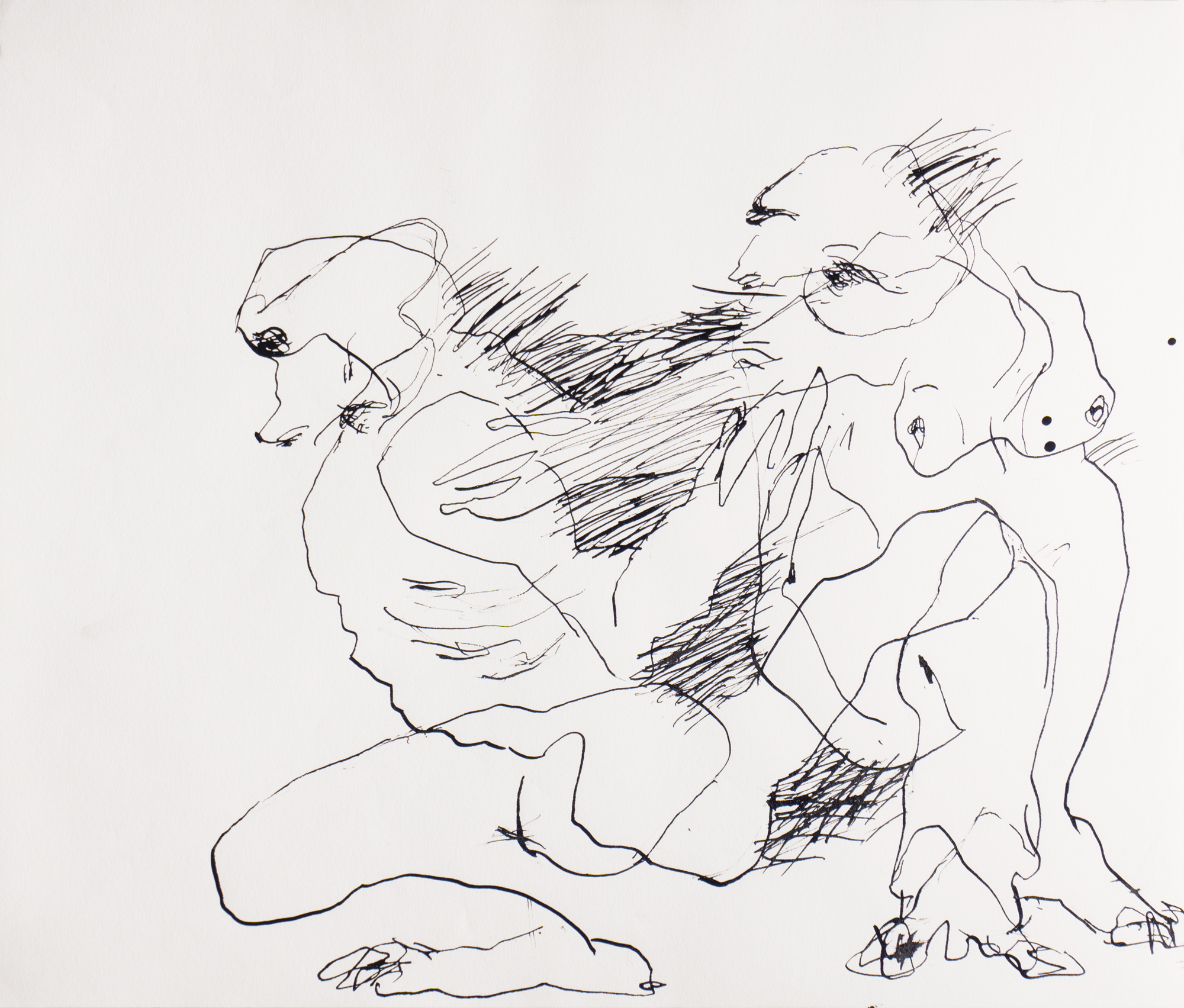 https://marinarocadie.com/wp-content/uploads/2016/05/porcupine-couples-VI.jpg