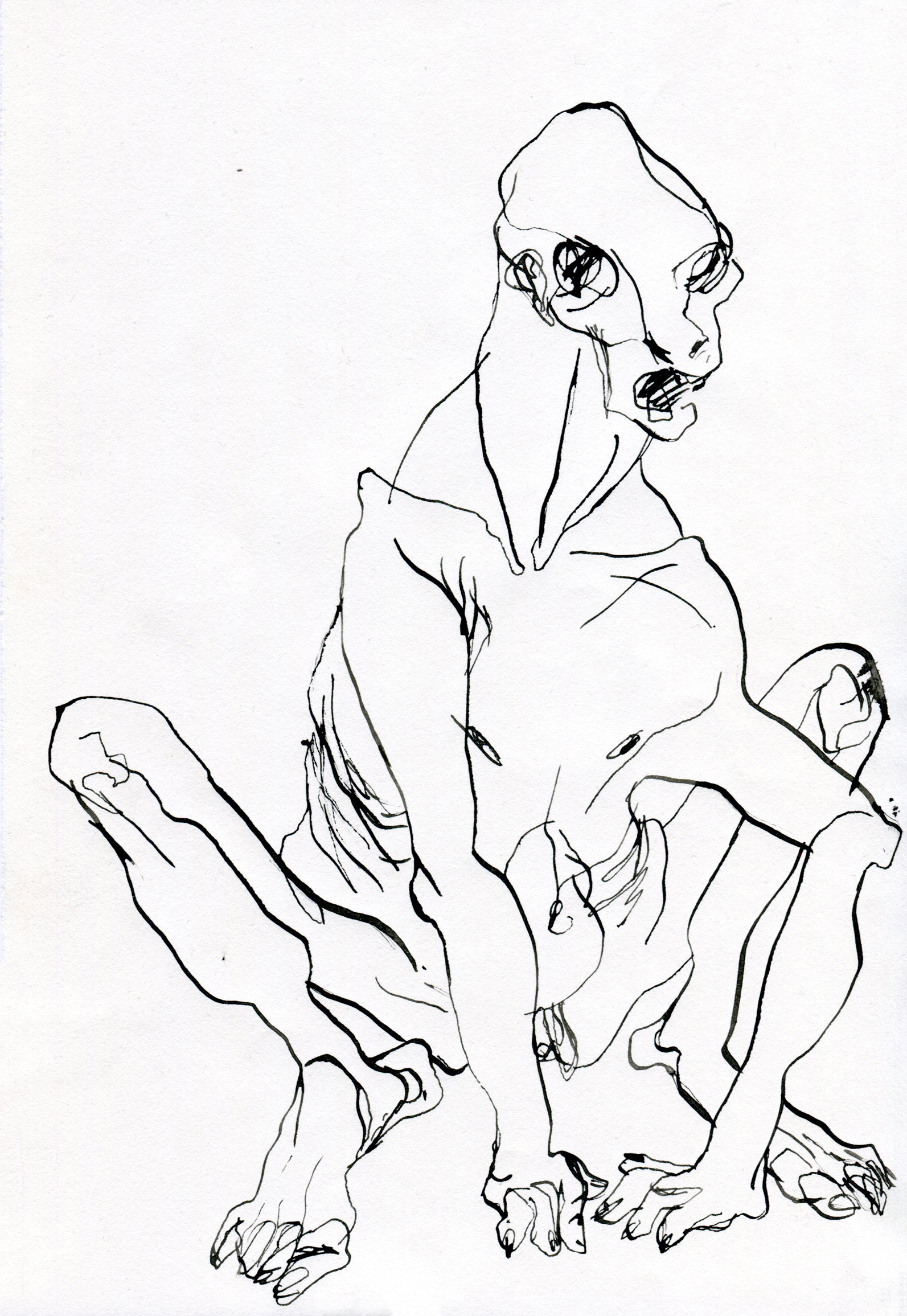https://marinarocadie.com/wp-content/uploads/2016/05/the-animal-man-II.jpg