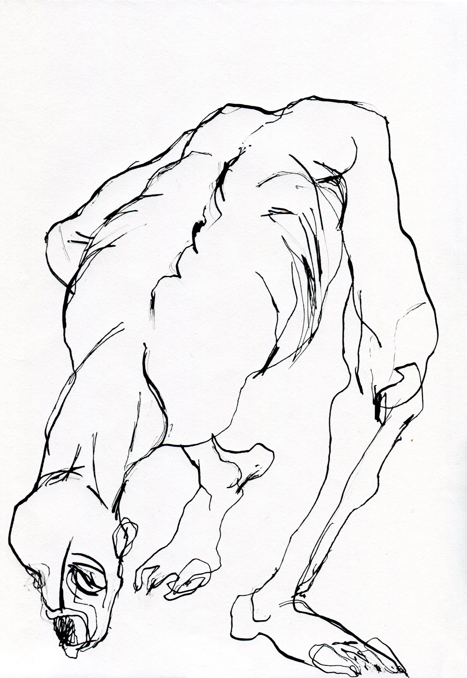 https://marinarocadie.com/wp-content/uploads/2016/05/the-animal-man-XIII.jpg